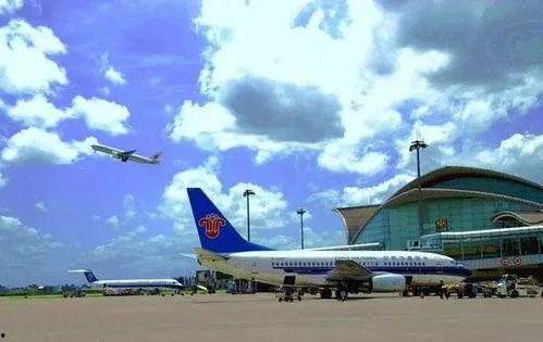 盼盼浦东机场吃瓜,盼盼的瓜果飘香之旅