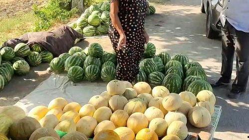 泉州热门吃瓜事件,最新吃瓜事件揭秘，网友热议不断！