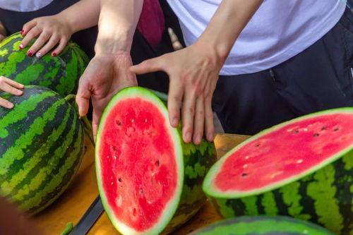 江苏财经大学吃瓜,揭秘校园“吃瓜”文化现象