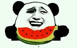 沉静是吃瓜视频,揭秘吃瓜视频背后的故事