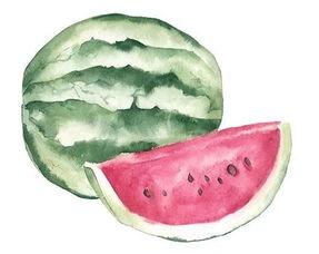 吃瓜摄影者,捕捉生活百态的瞬间