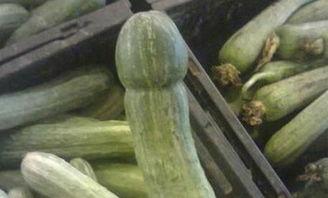 瑞幸到处吃瓜,从瓜田到风波，一场关于品质与信任的较量