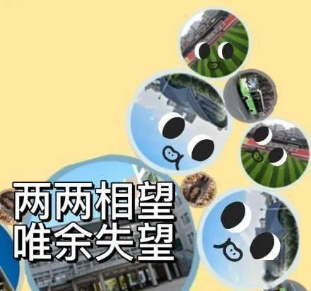 带你吃瓜颜色挑战,揭秘带你吃瓜挑战背后的趣味与智慧