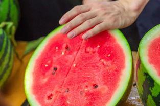 大学吃瓜免费,揭秘校园生活新潮流