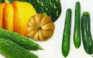 吃瓜的老墨,揭秘娱乐圈背后的故事