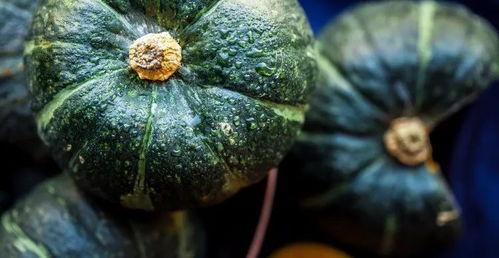 哪个瓜最值得吃,哪个瓜最值得品尝？