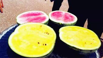 吃瓜爆料各校大瓜,揭秘各校大瓜背后的真相