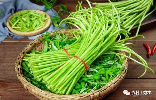 蒿瓜产后可以吃吗,适宜还是禁忌？