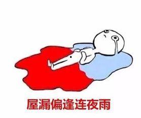 姨妈期间吃土瓜,女性健康饮食新选择