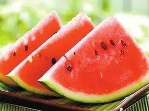 吃瓜配冰,吃瓜配冰，清凉一夏！