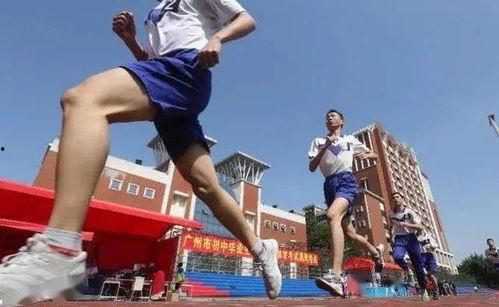 吃瓜观体育,揭秘赛场背后的趣味故事