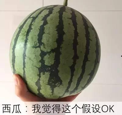 在线吃假瓜,在线吃瓜，真假难辨的虚拟世界