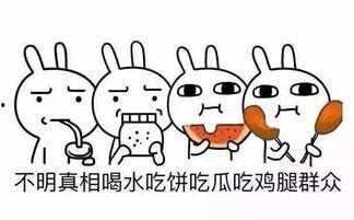 吃瓜人设夏,吃瓜界的风云人物