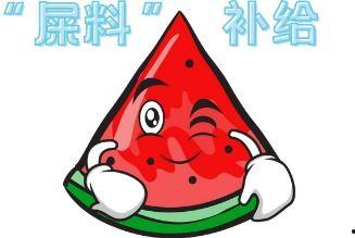 吵架现场吃瓜图片大全,盘点那些让人捧腹大笑的瞬间