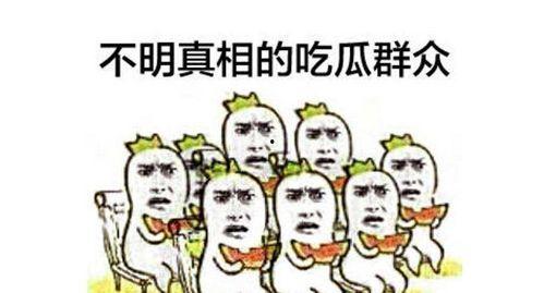 吃瓜群众头号粉丝