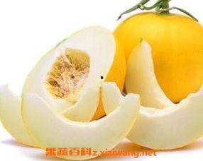 经常吃伊丽莎白瓜好吗