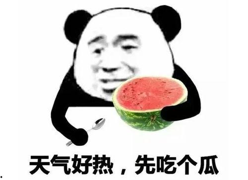 泰国吃瓜表情包