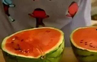 天天吃自己的瓜,揭秘“天天吃自己的瓜”的生活哲学
